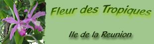 Fleur des Tropiques sur eBay