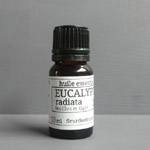 Huile essentielle d'Eucalyptus radiata