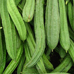 Luffa acutangula / Pipengaye - lot de 6 graines
