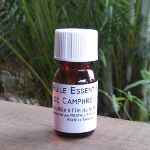 Huile essentielle de Camphre