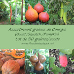 Graines de Courges - Assortiment de 80 Graines