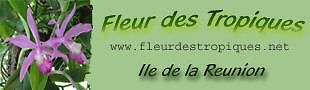 Fleur-des-Tropiques: plantes tropicales, graines, vanille, pices, rhum arrang